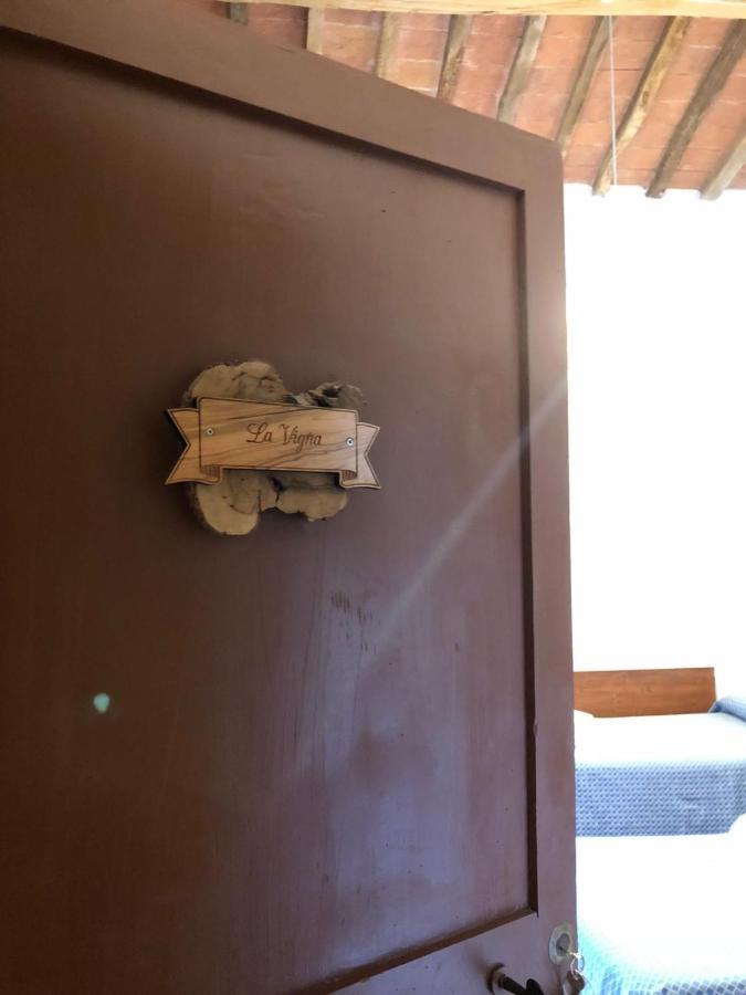 Agriturismo Diffuso Monte Oliveto Maggiore Chiusure Ngoại thất bức ảnh
