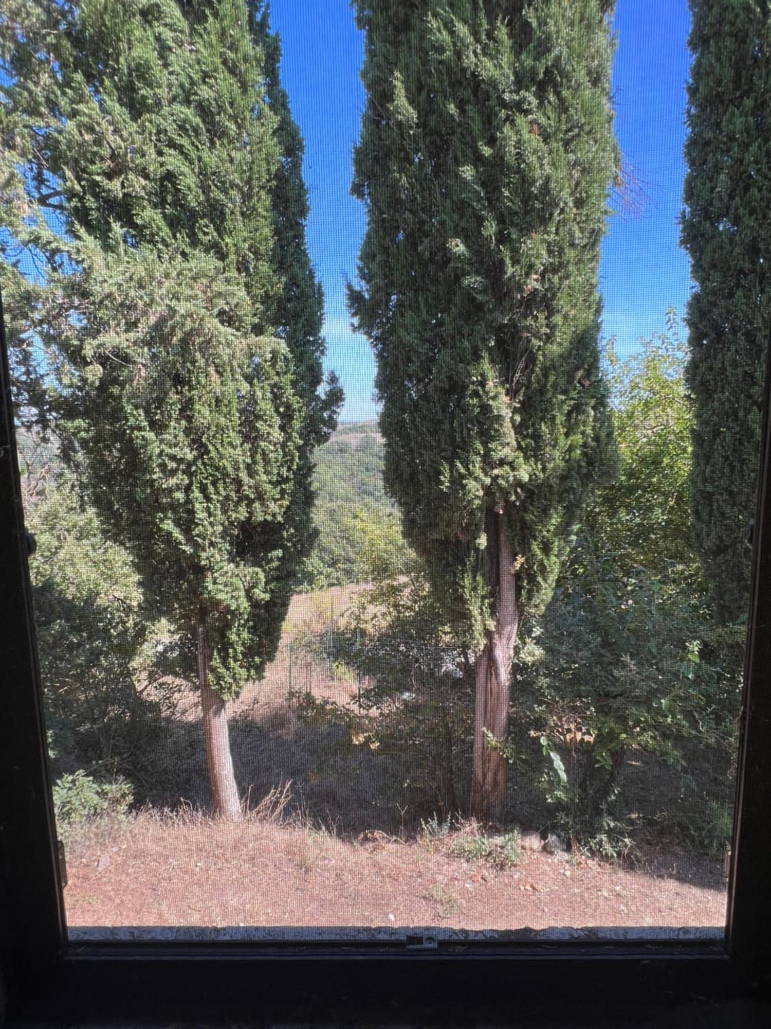 Agriturismo Diffuso Monte Oliveto Maggiore Chiusure Ngoại thất bức ảnh